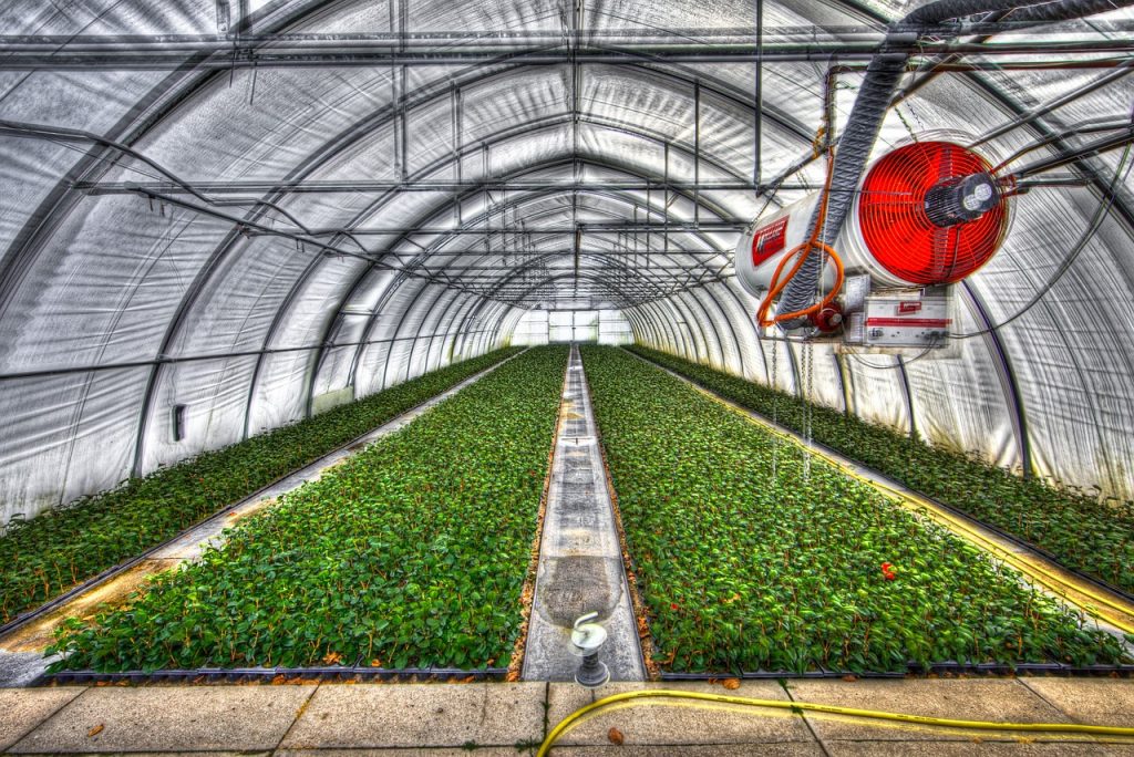 greenhouse, slide tunnel, crops-2546692.jpg