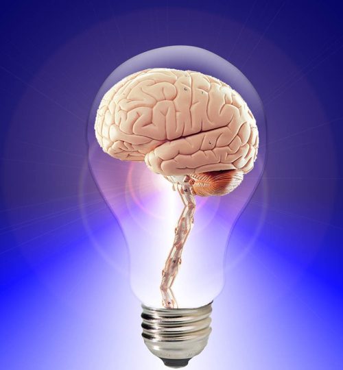 brain, think, human-20424.jpg